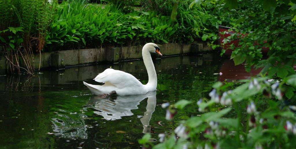 B&B Canal Deluxe Bruges Luaran gambar